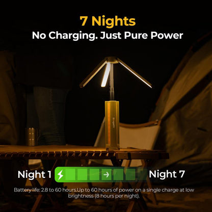 2-1 Portable 15600mAh Rechargeable Powerbank & Camping Light